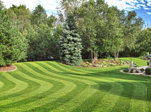 Lawn maintenance Lawn maintenance