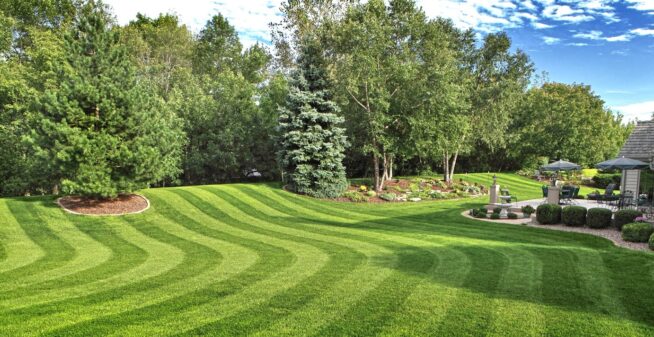 Lawn maintenance Lawn maintenance